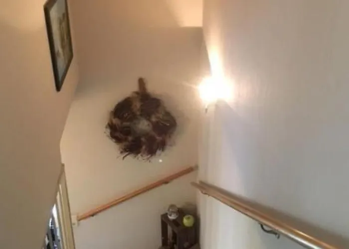 Modernisierte Mit Balkon By Interhome Apartmán *